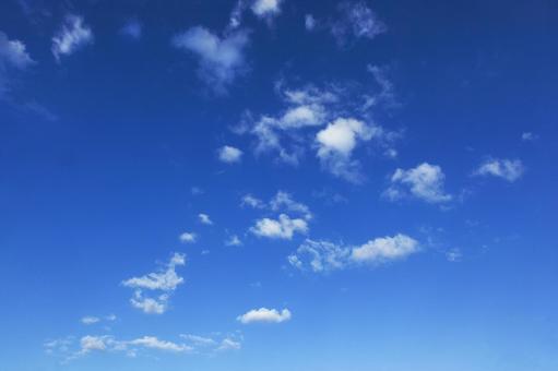 秋の空8 秋の空8 秋,青空,空の写真素材
