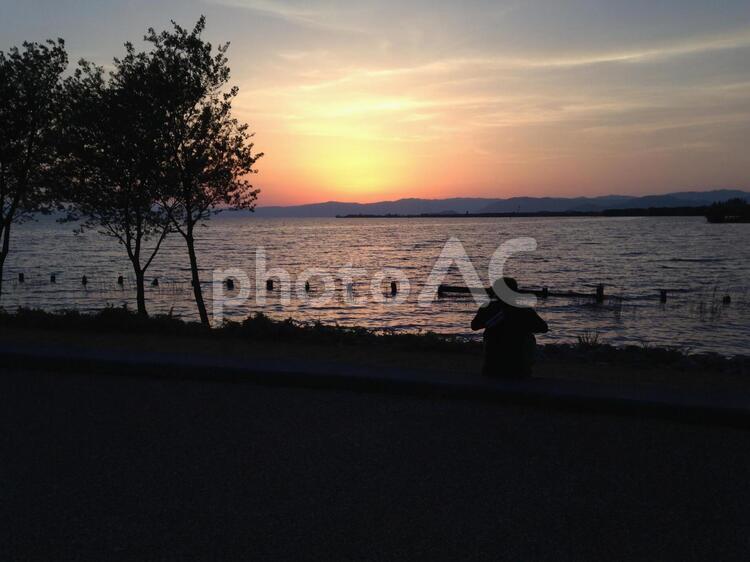 夕方の広場と公園の風景 風景,散歩道,きれいの写真素材