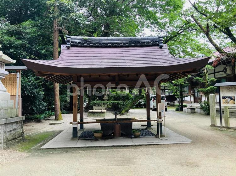 廣瀬大社　手水舎 廣瀬大社,奈良県北葛城郡,二十二社の写真素材