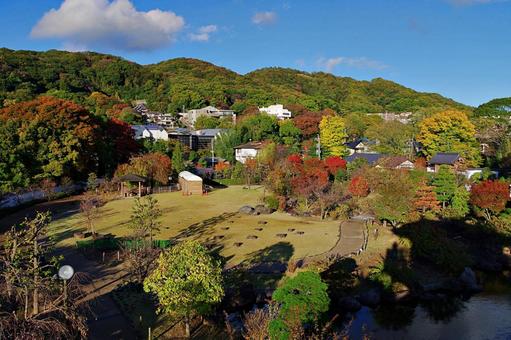 池田城天守から見下ろす庭園 池田城天守から見下ろす庭園 池田城跡公園,芝生広場,庭園の写真素材