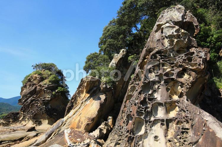 高知県土佐清水市　竜串海岸の風景 竜串海岸,岩場,奇岩の写真素材