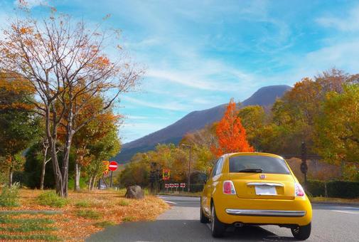 秋、紅葉、イタ車 車,秋,紅葉の写真素材