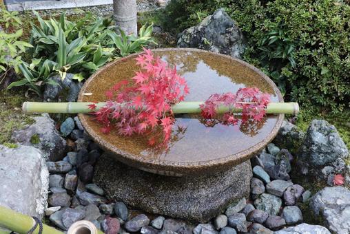圓光寺　十牛之庭の水琴窟 圓光寺,十牛之庭,水琴窟の写真素材