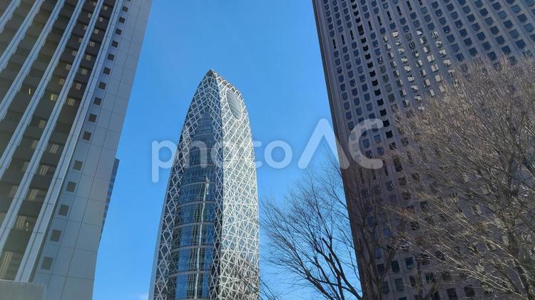 新宿で働くということ 東京,都市,オフィスの写真素材