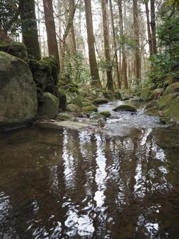 川のせせらぎ2 川のせせらぎ2の写真