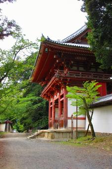 京都府-醍醐寺-仁王門 京都府-醍醐寺-仁王門の写真