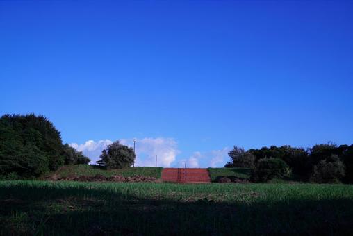 公園の広場 公園,広場,晴れの写真素材