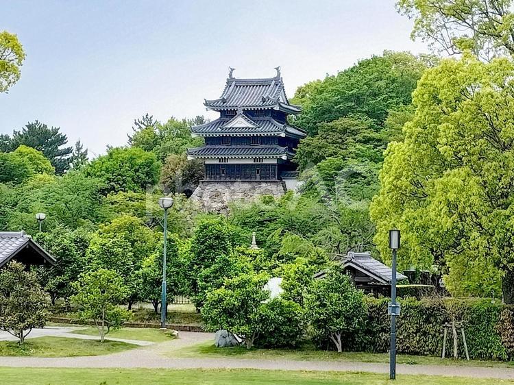 西尾市歴史公園　本丸丑寅櫓と二之丸広場 西尾市歴史公園,二之丸丑寅櫓,西尾城の写真素材