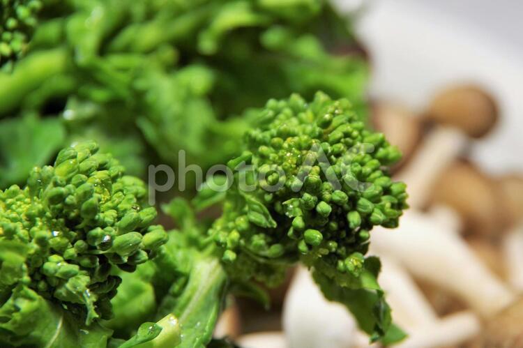 菜の花とシメジ 菜の花,食用,食材の写真素材