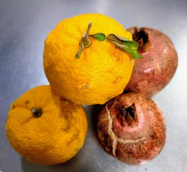 柚子とザクロです 柚子,ユズ,ゆずの写真素材