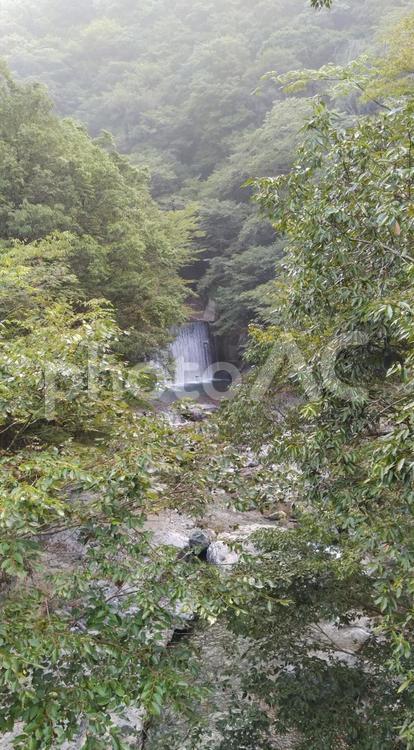 下梶原川の風景 熊本県球磨郡五木村,2020年8月,川辺川支流の写真素材