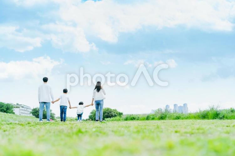 青空の草原を歩く家族 家族,青空,子供の写真素材