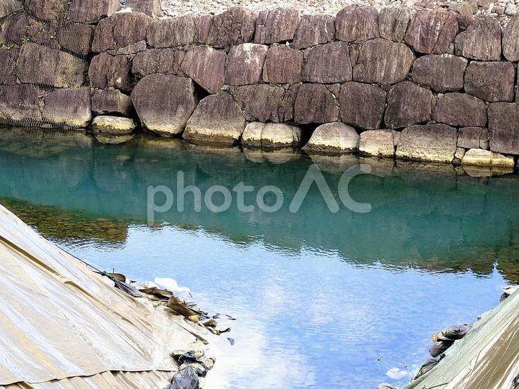 駿府城江戸時代の石垣発掘作業現場　鷺一羽 石垣,古い,文化財の写真素材