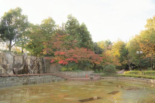 紅葉 公園 紅葉 公園の写真