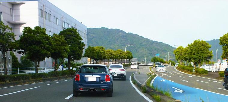街路樹が続く道 街路樹,並木,道路の写真素材