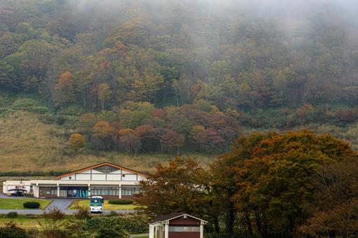霧に包まれた秋の紅葉 紅葉,霧,山の写真素材
