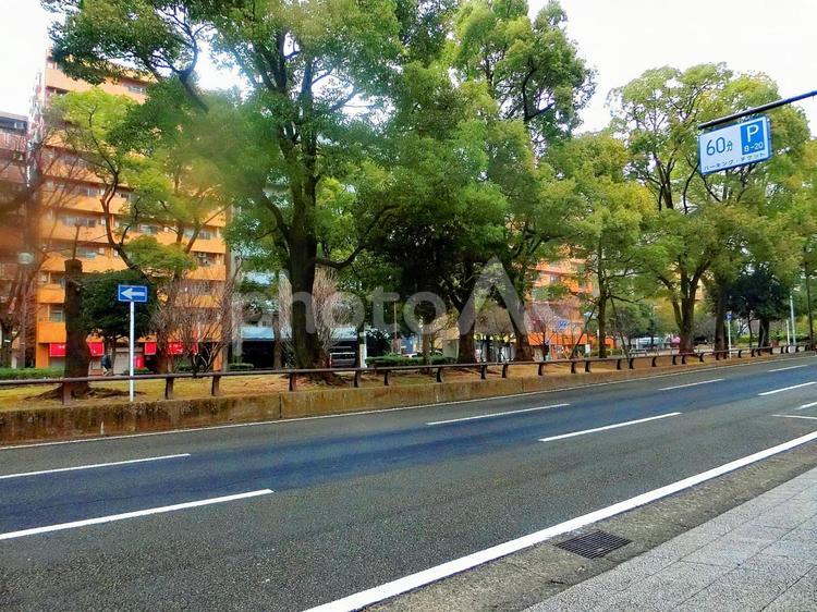 オフィス街の街並み 屋外で,旅,景色の写真素材