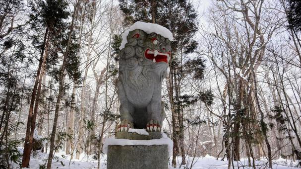 冬の戸隠神社の狛犬 戸隠神社,戸隠の冬,戸隠杉並木の写真素材