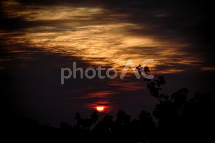 ＜素材＞森の中から眺める夜明けの太陽 夜明け,日の出,夕方の写真素材