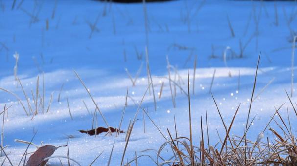 雪 雪 雪,イメージ,冬の写真素材