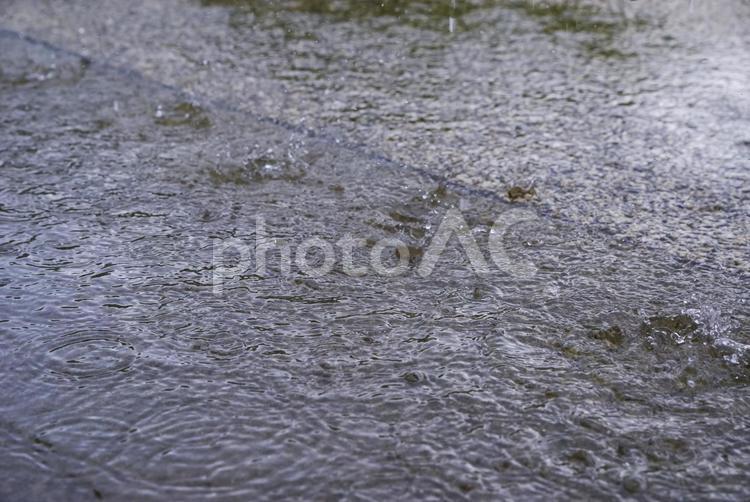 雨粒が打ちつける舗装道路 雨,豪雨,土砂降りの写真素材