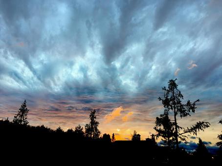 夕方の雲 夕方の雲の写真