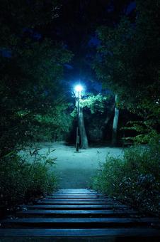 松戸市、夜の大谷口歴史公園の広場 松戸市、夜の大谷口歴史公園の広場 夜,公園,暗いの写真素材