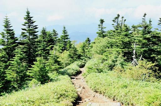 登山 登山の写真