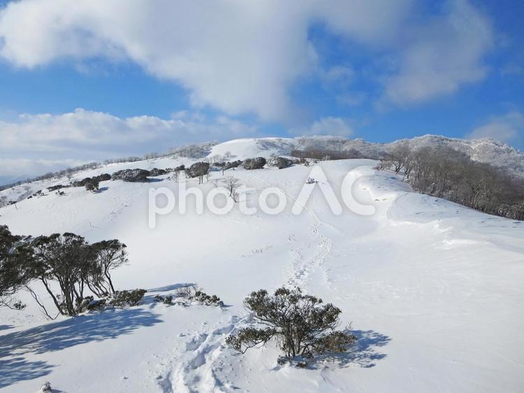 雪の竜ヶ岳へと続くトレース（踏み跡） 雪山,登山,山の写真素材