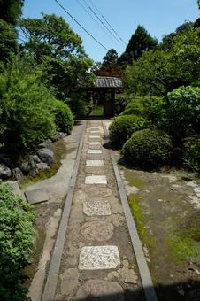 ［神奈川県鎌倉市］海蔵寺｜花の寺 鎌倉,海蔵寺,花の寺の写真素材