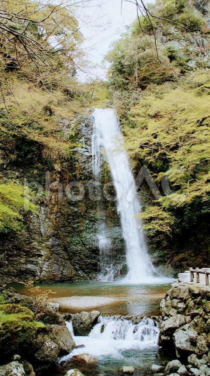 箕面の滝 滝,箕面,大阪の写真素材