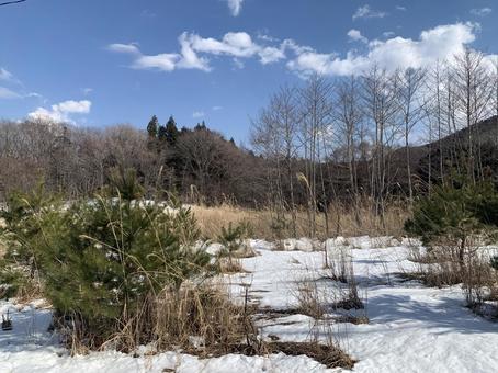 高原の残雪 高原の残雪の写真