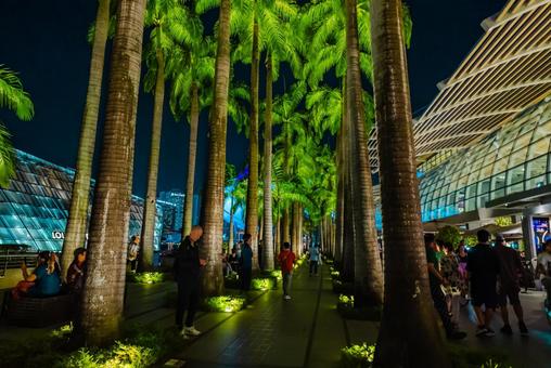 【シンガポール】ショップス シンガポール,ショップス,マリーナベイサンズの写真素材