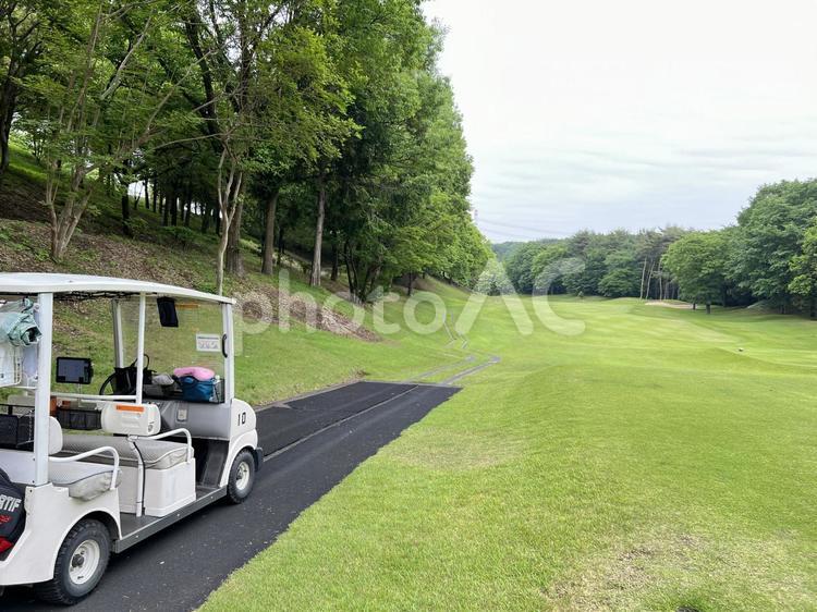 ゴルフカートとコースの美しい風景 ゴルフ,カート,カート道の写真素材