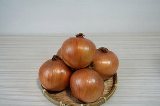 淡路島産の大きな玉ねぎ 玉ねぎ,淡路島,野菜の写真素材
