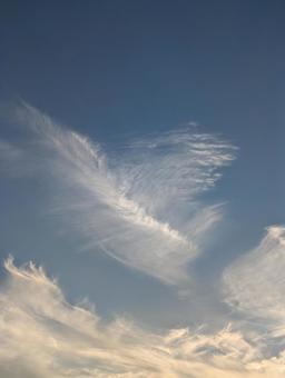 秋の空 秋の空の写真
