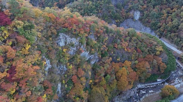 山紅葉009 山,紅葉,山紅葉の写真素材