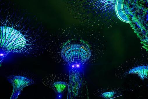 【シンガポール】ガーデンズバイザベイ ガーデンズバイザベイ,シンガポール,ガーデンの写真素材