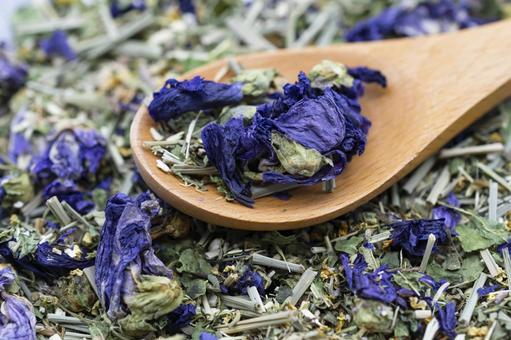 青色のハーブティ ハーブ,ハーブティ,オーガニックの写真素材