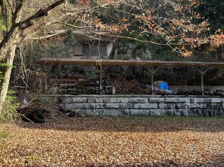 晩秋の風景 落ち葉,落葉,枯れ葉の写真素材