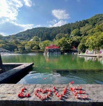 勝尾寺 勝尾寺,寺,箕面市の写真素材