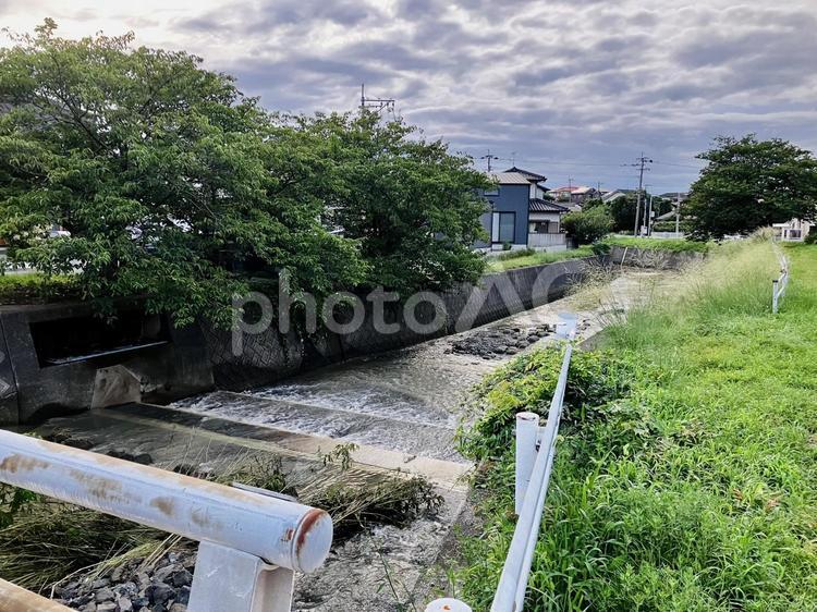 手光今川(2025年8月大雨の2日後)② 線状降水帯,2025年,8月の写真素材