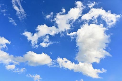 澄んだ青空と雲 澄んだ青空と雲の写真