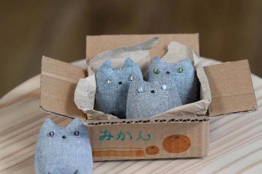 ダンボールハウスに集うちび猫たち③ ダンボールハウスに集うちび猫たち③ ハンドメイド,猫グッズ,ちび猫の写真素材