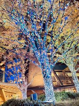 イルミネーション 六本木ヒルズ,イルミネーション,クリスマスの写真素材