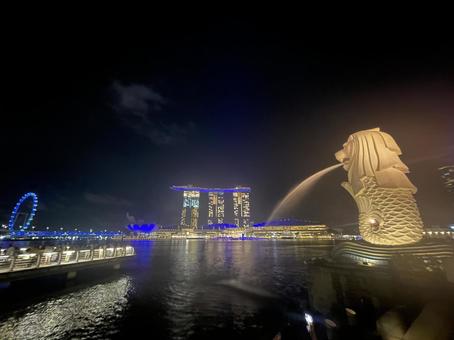 シンガポールの夜景 シンガポールの夜景の写真