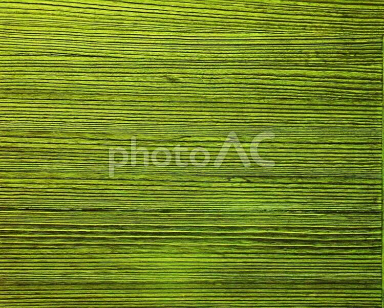 桐の板模様６　横 背景,木目,桐の写真素材