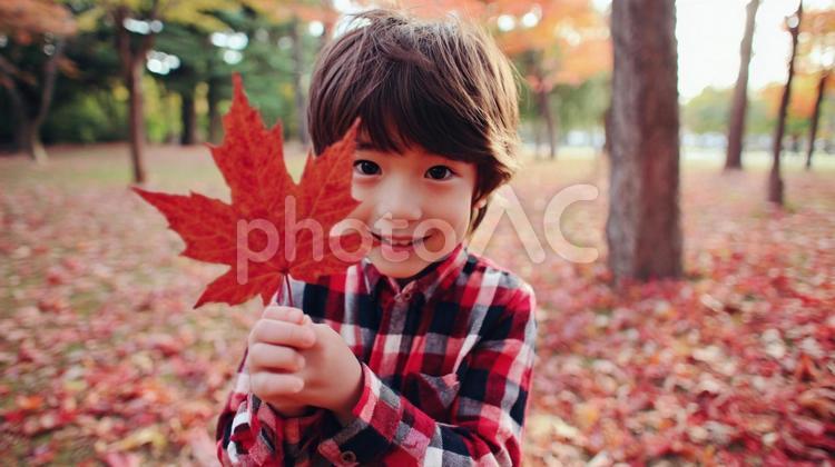 真っ赤な楓の葉を見せる男の子 秋,イメージ素材,赤の写真素材
