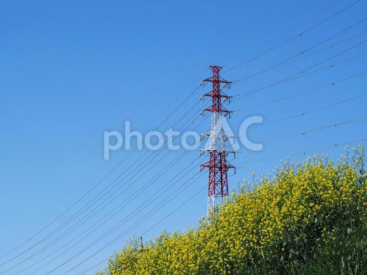 鉄塔がある風景 鉄塔,送電線,電線の写真素材