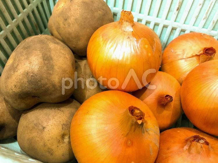 収穫したジャガイモと玉ねぎ 畑,農業,自然の写真素材